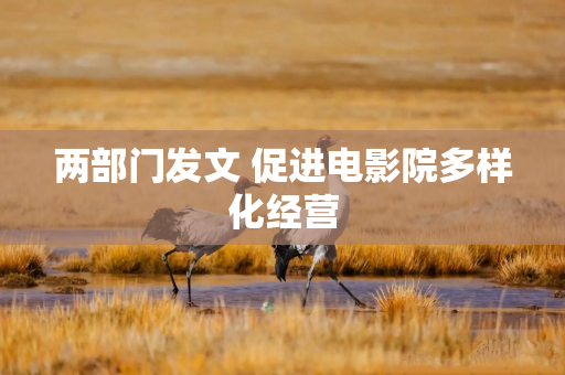 两部门发文 促进电影院多样化经营 两部门发文 促进电影院多样化经营