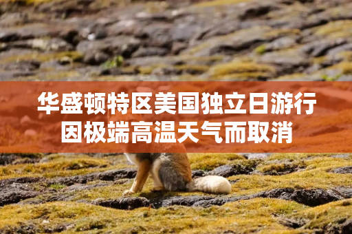 华盛顿特区美国独立日游行因极端高温天气而取消