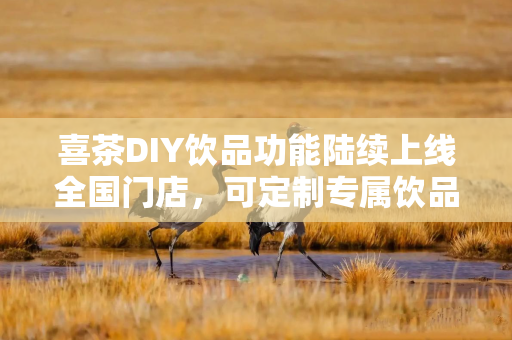 喜茶DIY饮品功能陆续上线全国门店,可定制专属饮品 喜茶DIY饮品功能陆续上线全国门店,可定制专属饮品