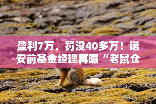 盈利7万，罚没40多万！诺安前基金经理再曝“老鼠仓”