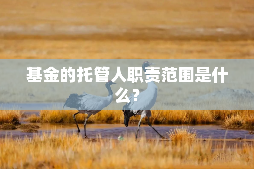 基金的托管人职责范围是什么？