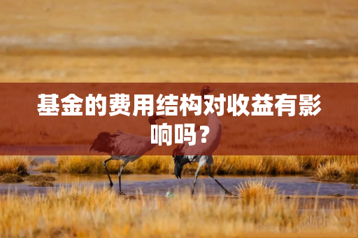 基金的费用结构对收益有影响吗？