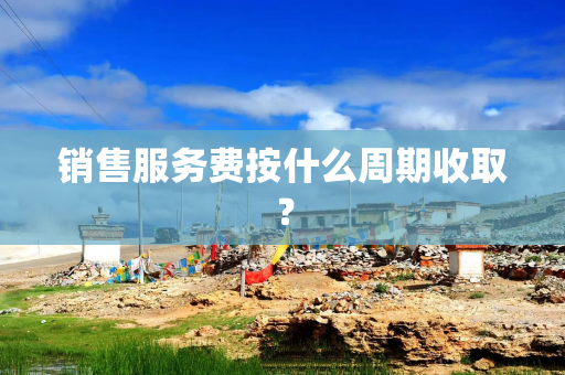 销售服务费按什么周期收取？