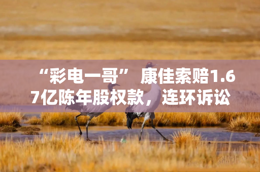 “彩电一哥” 康佳索赔1.67亿陈年股权款，连环诉讼波及ST达华