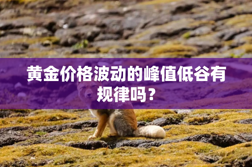 黄金价格波动的峰值低谷有规律吗？