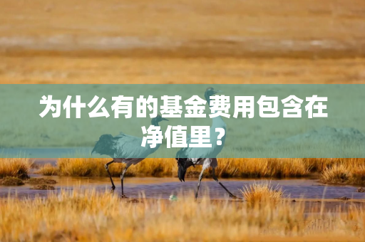 为什么有的基金费用包含在净值里？
