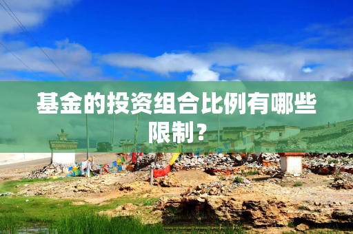 基金的投资组合比例有哪些限制？