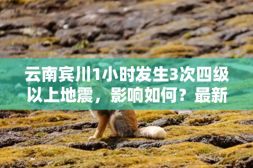云南宾川1小时发生3次四级以上地震，影响如何？最新情况