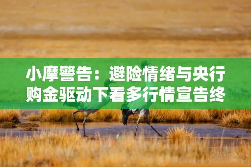 小摩警告：避险情绪与央行购金驱动下看多行情宣告终结！大幅下调年内金价预测