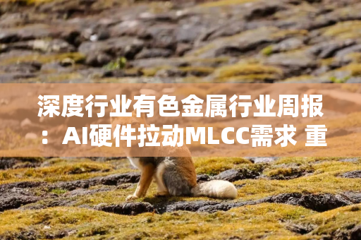 深度行业有色金属行业周报：AI硬件拉动MLCC需求 重稀土材料迎来结构增量