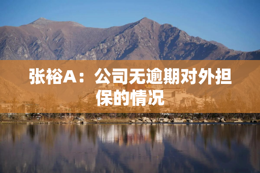 张裕A：公司无逾期对外担保的情况