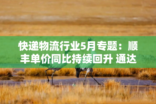 快递物流行业5月专题:顺丰单价同比持续回升 通达系业务量增速改善显著 快递物流行业5月专题:顺丰单价同比持续回升 通达系业务量增速改善显著