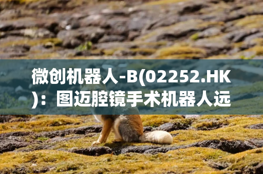 微创机器人-B(02252.HK)：图迈腔镜手术机器人远程手术全科室应用获得欧盟CE认证