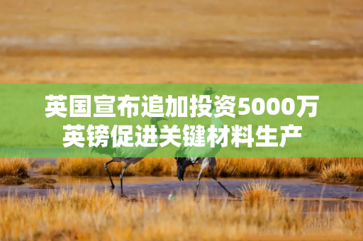 英国宣布追加投资5000万英镑促进关键材料生产