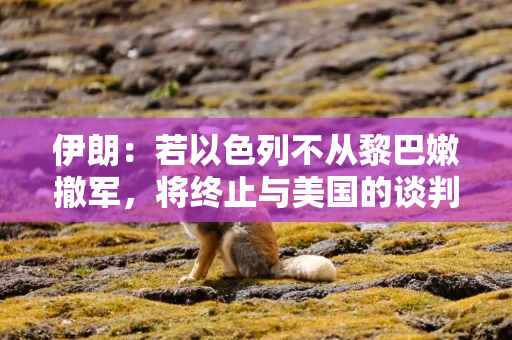 伊朗：若以色列不从黎巴嫩撤军，将终止与美国的谈判