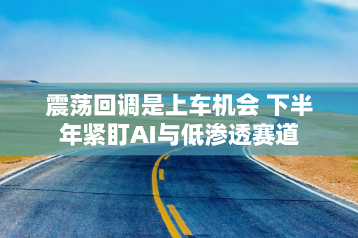 震荡回调是上车机会 下半年紧盯AI与低渗透赛道