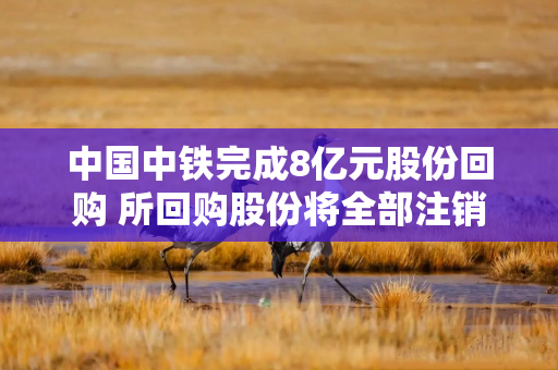 中国中铁完成8亿元股份回购 所回购股份将全部注销以缩减注册资本