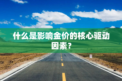 什么是影响金价的核心驱动因素？