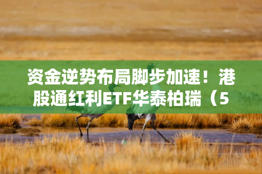 资金逆势布局脚步加速！港股通红利ETF华泰柏瑞（513530）连续9个交易日获资金净流入