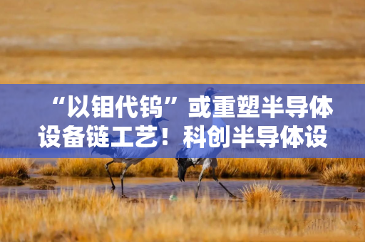 “以钼代钨”或重塑半导体设备链工艺！科创半导体设备ETF华泰柏瑞（588710）或迎价值重估机遇
