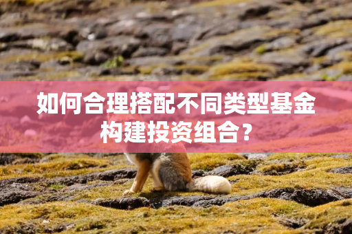 如何合理搭配不同类型基金构建投资组合？