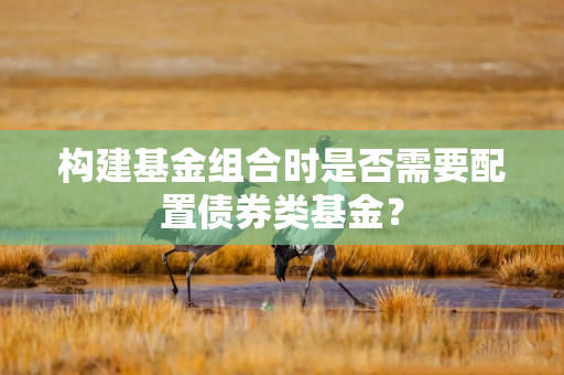 构建基金组合时是否需要配置债券类基金？