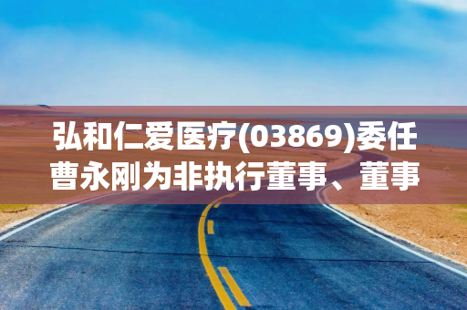 弘和仁爱医疗(03869)委任曹永刚为非执行董事、董事会主席