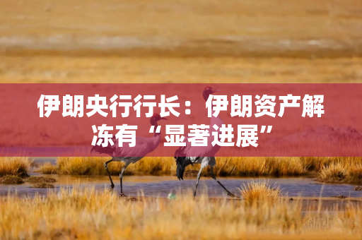 伊朗央行行长：伊朗资产解冻有“显著进展”