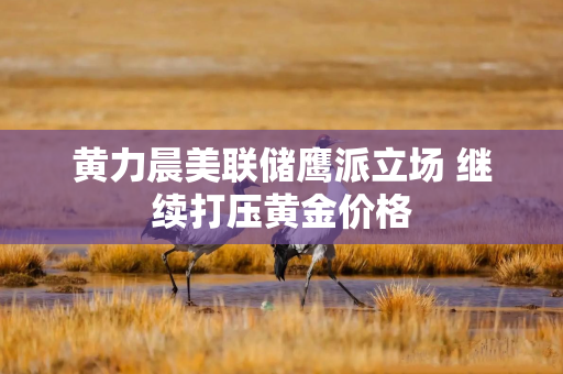 黄力晨美联储鹰派立场 继续打压黄金价格