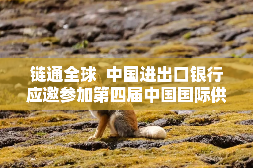 链通全球  中国进出口银行应邀参加第四届中国国际供应链促进博览会