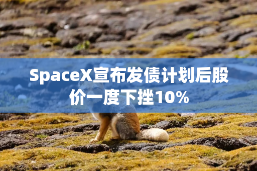 SpaceX宣布发债计划后股价一度下挫10%