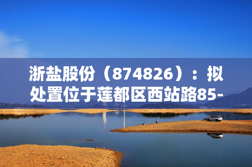 浙盐股份（874826）：拟处置位于莲都区西站路85-1号资产