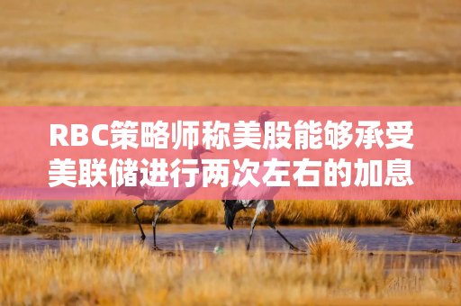 RBC策略师称美股能够承受美联储进行两次左右的加息
