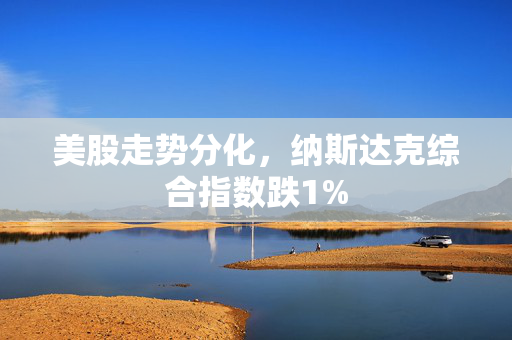 美股走势分化，纳斯达克综合指数跌1%