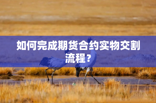如何完成期货合约实物交割流程？