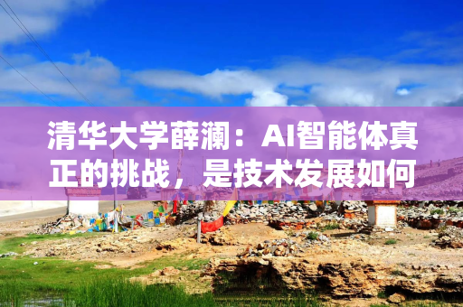 清华大学薛澜：AI智能体真正的挑战，是技术发展如何真正满足社会需求