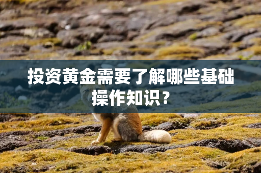 投资黄金需要了解哪些基础操作知识？
