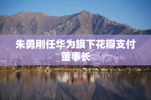 朱勇刚任华为旗下花瓣支付董事长