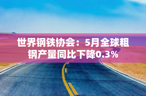 世界钢铁协会：5月全球粗钢产量同比下降0.3%