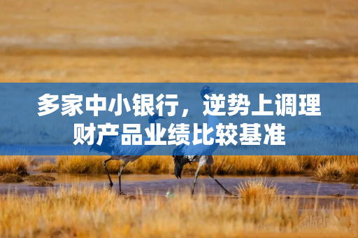 多家中小银行，逆势上调理财产品业绩比较基准