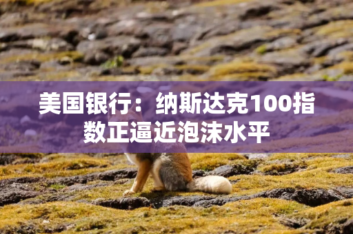 美国银行：纳斯达克100指数正逼近泡沫水平