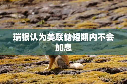 瑞银认为美联储短期内不会加息
