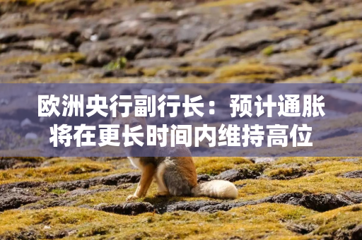 欧洲央行副行长：预计通胀将在更长时间内维持高位