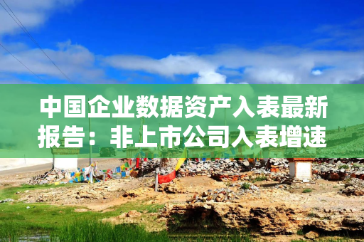 中国企业数据资产入表最新报告：非上市公司入表增速放缓，上市公司入表稳步增长