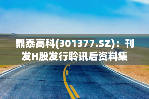 鼎泰高科(301377.SZ)：刊发H股发行聆讯后资料集
