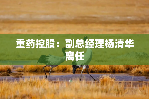重药控股：副总经理杨清华离任