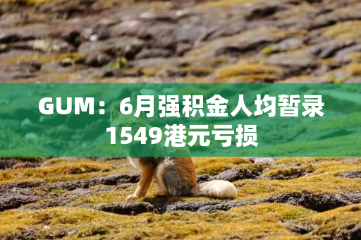 GUM：6月强积金人均暂录1549港元亏损