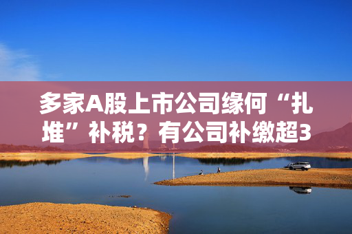 多家A股上市公司缘何“扎堆”补税？有公司补缴超3亿元 专家：补税并非“罚单”，不会影响企业经营基本面