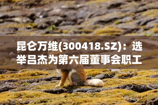 昆仑万维(300418.SZ)：选举吕杰为第六届董事会职工代表董事
