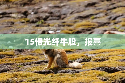 15倍光纤牛股，报喜